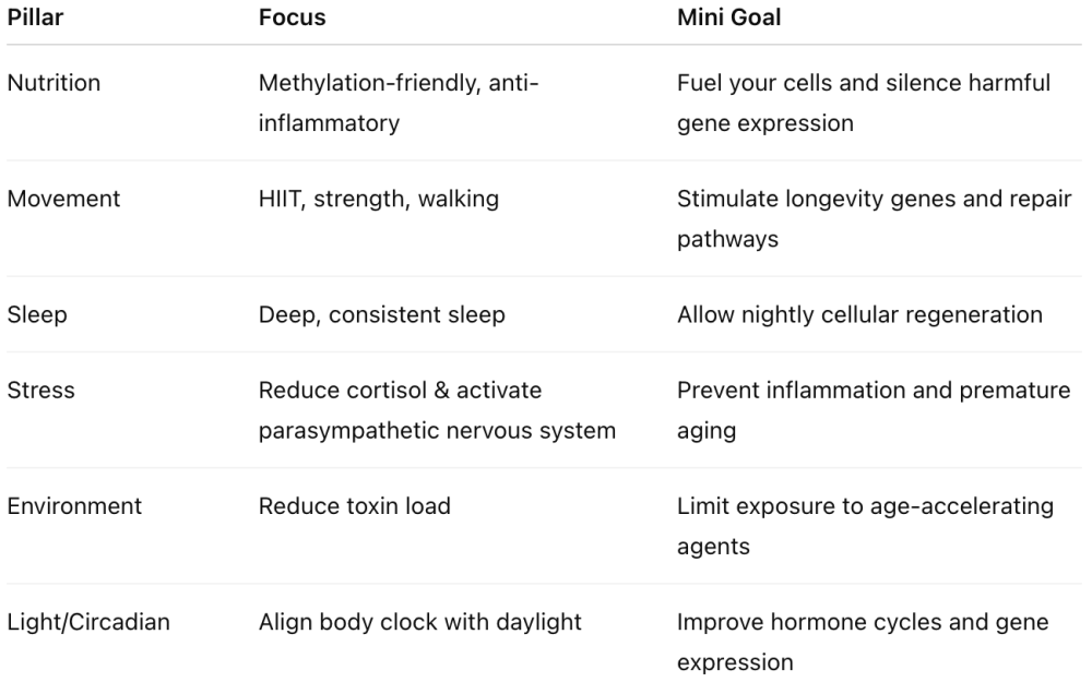 the pillars of epigenetics